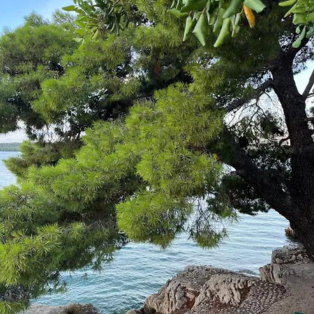 Center Exclusive Seaview For 4 Apartament