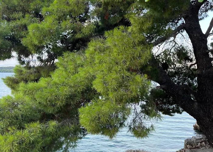 Center Exclusive Seaview For 4 Apartament